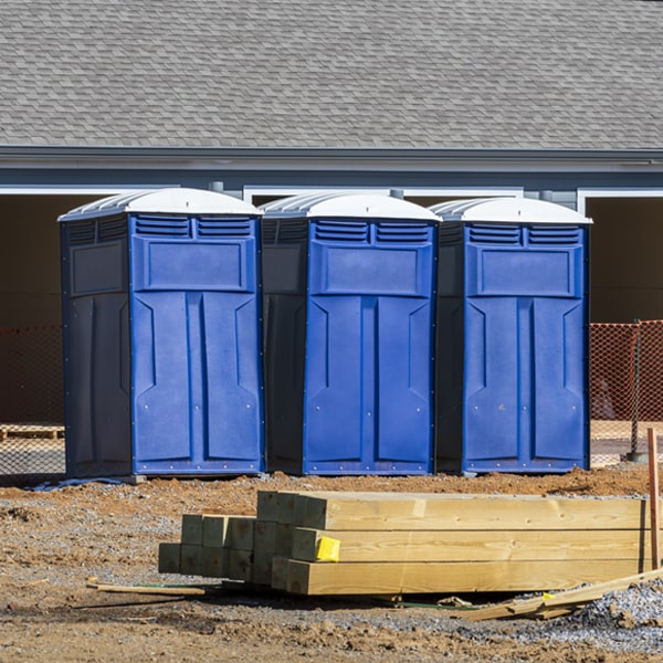 do you offer hand sanitizer dispensers inside the portable toilets in Bergen NY